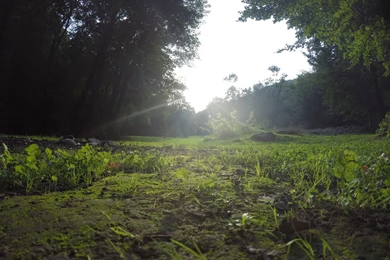 Best Iran 4K Or HD Wallpapers For Your PC, Mac Or Mobile Device