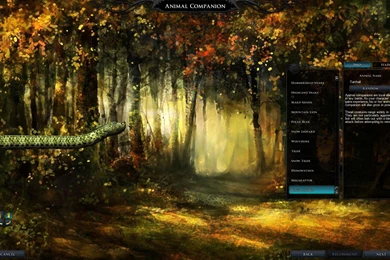 Fantasy, Background, Resolution, Heart, Love, Photo (