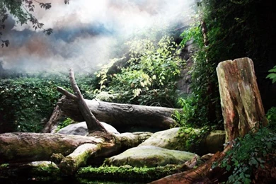 Fantasy Backgrounds Two By Pickyme On DeviantArt