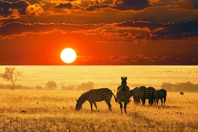 2015 09 22   Page 233