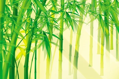 Wallpapers Bamboo