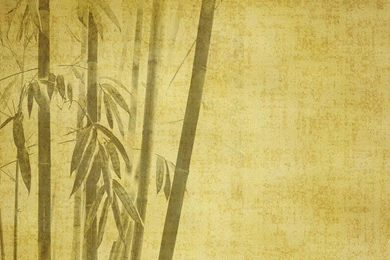 Bamboo Wallpapers 15   Best Wallpapers Collection