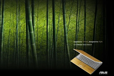 Bamboo, Wallpaper, Notebook   196476