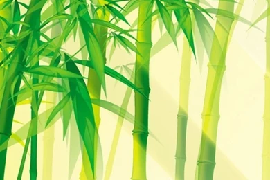 640x960 Bamboo Scene Iphone 4 Wallpapers