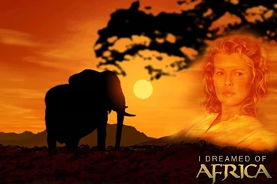 I_dreamed_of_Africa 005.jpg