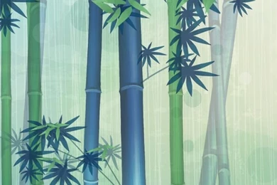 Gallery For   Iphone Bamboo Wallpapers