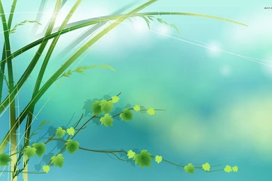 Bamboo And Leaves Wallpapers   Digital Art Wallpapers