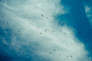 iPad Retina Wallpapers HD   Retina Ready, Stunning Wallpapers