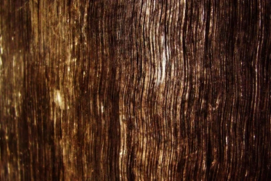 Wood Grain Wallpapers HD