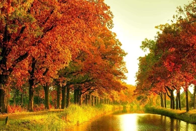 Gallery For   Desktop Wallpapers Autumn Scenes