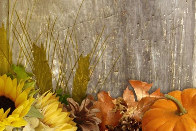 Gallery For   Autumn Harvest Desktop Wallpapers