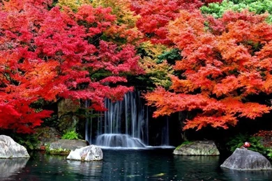 Autumn Falls Desktop Backgrounds Hd Wallpapers 1629361 2560x1600 ...
