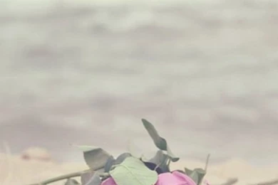 iPhone 5c Wallpapers