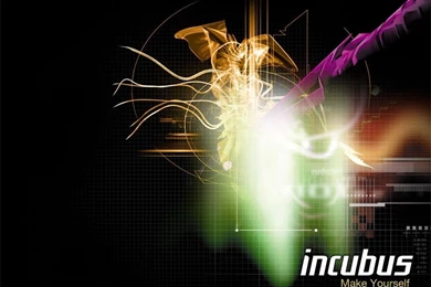 Incubus   Incubus Wallpapers (766199)   Fanpop