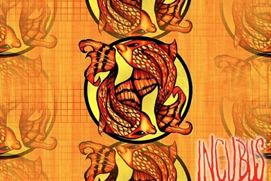 TheAlterBridgeNation.com Archived Forum • View Topic   Incubus ...