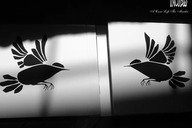 Download Music Incubus Wallpapers 1280x960