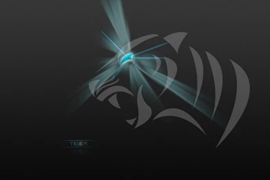 Pure black wallpaper 2 6010 HD Wallpapers