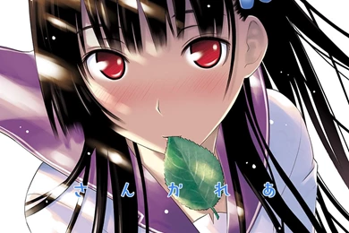 1600x1200px 314.28 KB Sankarea