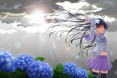 Sankarea Wallpapers HD Download