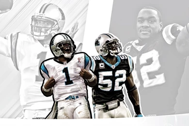 Camnewton   DeviantArt