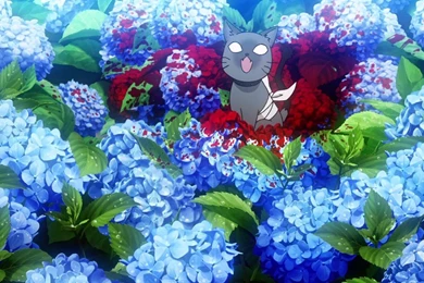 Let's Get Weird: Sankarea And Ero Guro