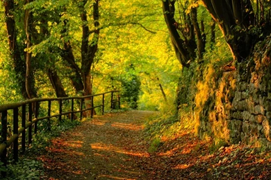 Autumn Dual Monitor 2560 X 1024 Wallpapers