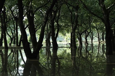 Dual Monitor Wallpapers 4206 Amazing Wonderful   Turimpic.com