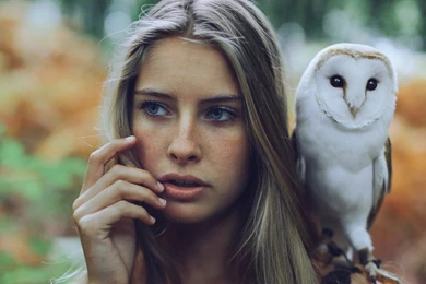 Blue Eyes Girl White Owl Ultra Hd Wallpapers   Ultra High ...
