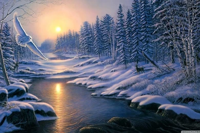 White Owl Painting By James Meger HD Desktop Wallpapers : High ...