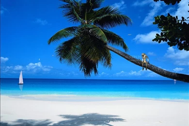 Gallery For   Screen Desktop Wallpapers