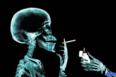 Danger Pictures Wallpapers For Wall   All Images Wallpapers For Wall