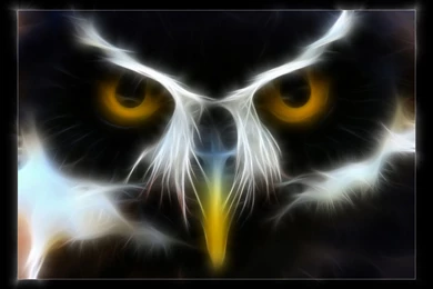 Gallery For Danger Wallpapers