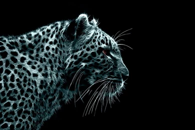 Danger Leopard Desktop Wide Wallpapers