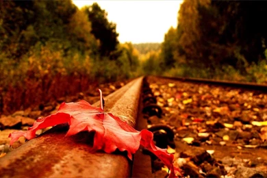 Autumn Images For Your Desktop Background: Beautiful By Free ...