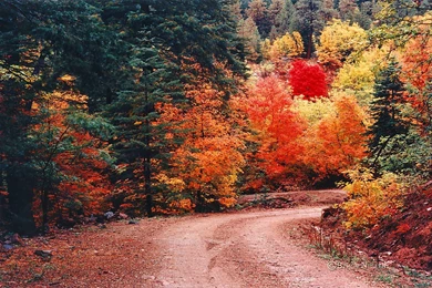 Byron Neslen Fine Art Photography