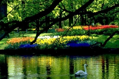 Photos Of Spring Scenes