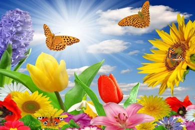 Free Spring Desktop Wallpapers ~ Toptenpack.com