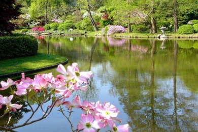 Gallery For   Early Spring Wallpapers Desktop