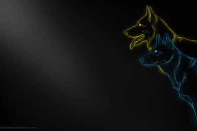 GSD And Husky Wallpapers By ForgottenAmnesty On DeviantArt