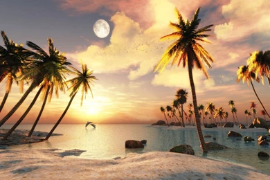 Free Beautiful 3d Beach Computer Desktop Wallpapers Beautiful 3d ...