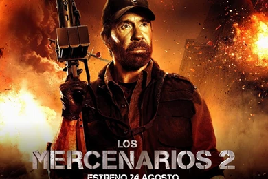 Chuck Norris Free Wallpapers (7 Photos) For Your Desktop, Download ...