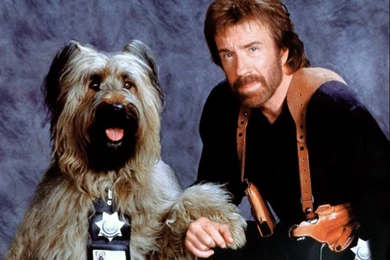 Chuck Norris Wallpapers