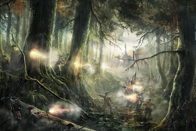 Fantasy Forest Wallpapers   (