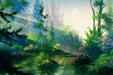 Fantasy Forest, 1920x1080 HD Wallpapers And FREE Stock Photo