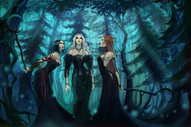 Three Black Skirt Fantasy Girl In The Forest Wallpapers