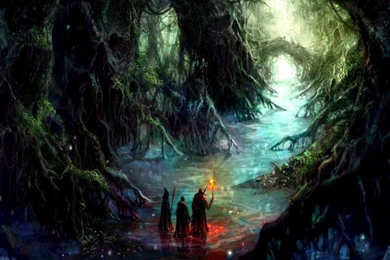 Fantasy Art Forest, 1920x1080 HD Wallpapers And FREE Stock Photo