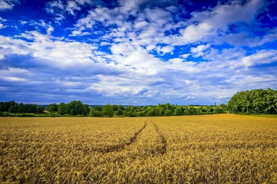 Download Farm Wallpapers 2519 1920x1080 Px High Resolution ...