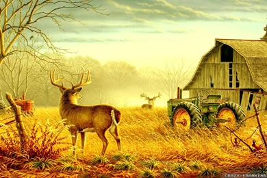 Autumn Scenes Wallpapers   Seasonal   Crazy Frankenstein