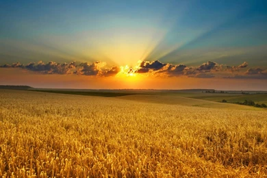 Snowy Mountain Wallpapers