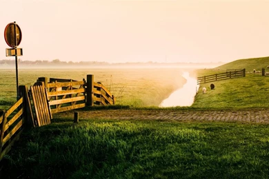 Early Morning Beauty Of The Farm, Meadow, Creek, Sheep Wallpapers ...